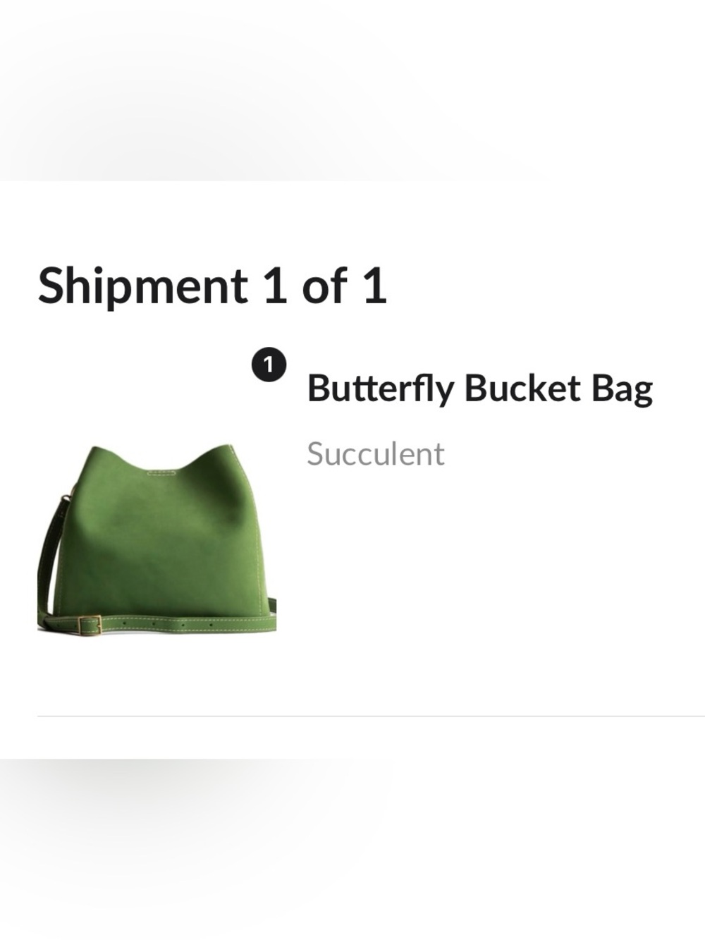 PORTLAND LEATHER BUTTERFLY BUCKET BAG IN SUCCULENT - Picture 11 of 11